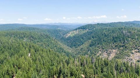 5215 Twin Cedars Dr, Placerville, CA 95667 photo 66