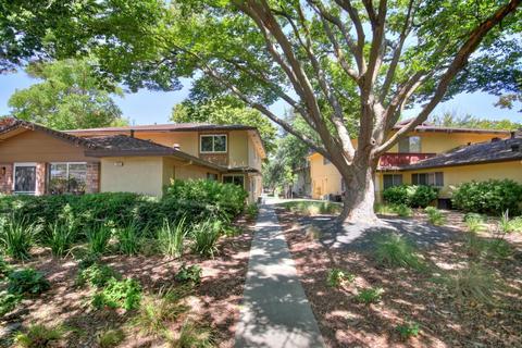 1805 Donner Ave #3, Davis, CA 95618 photo 23