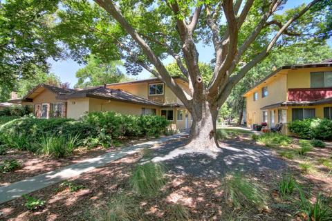 1805 Donner Ave #3, Davis, CA 95618 photo 2