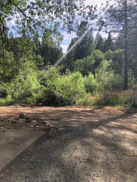 5780 State Highway 193, Georgetown, CA 95634 photo 5