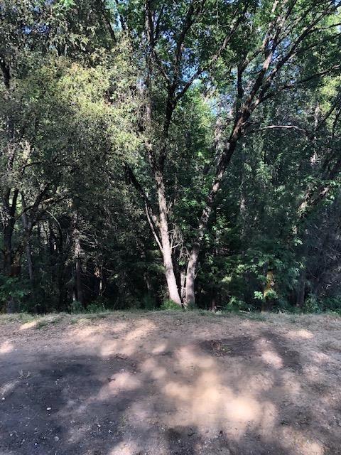 5780 State Highway 193, Georgetown, CA 95634 photo 16