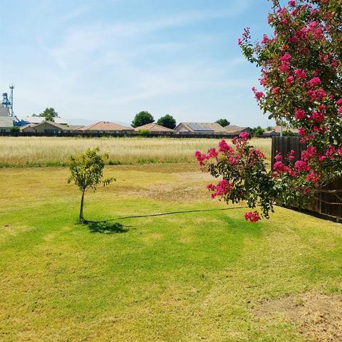 1500 E St, Williams, CA 95987 photo 9