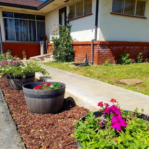 1500 E St, Williams, CA 95987 photo 6