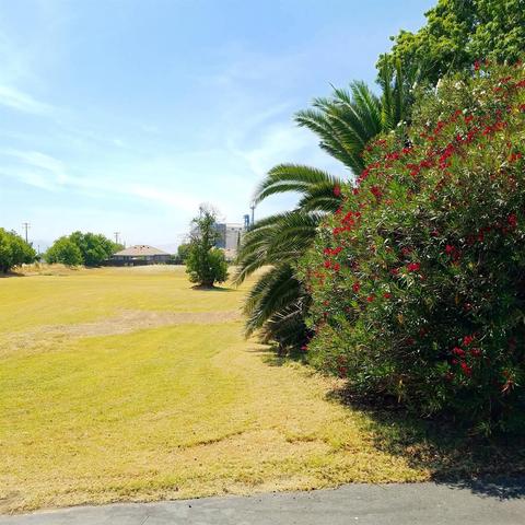 1500 E St, Williams, CA 95987 photo 49