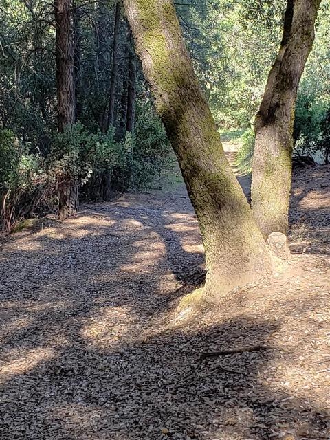 4030 Boulder Point Ln, Placerville, CA 95667 photo 58