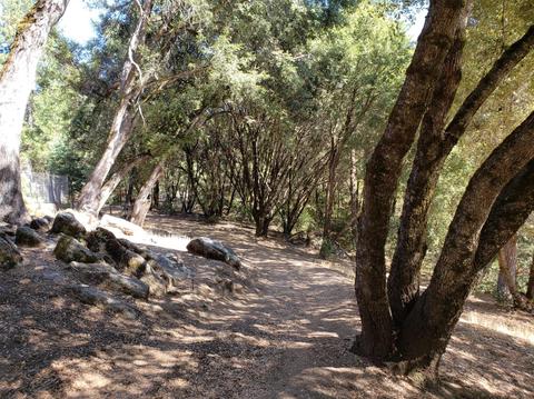 4030 Boulder Point Ln, Placerville, CA 95667 photo 50