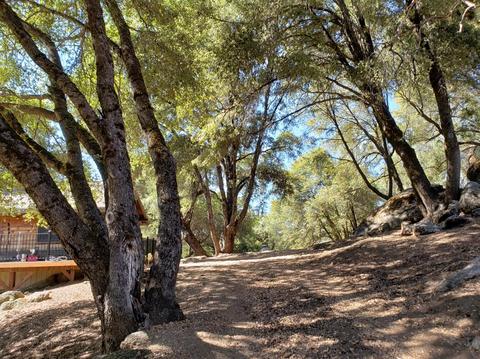 4030 Boulder Point Ln, Placerville, CA 95667 photo 48