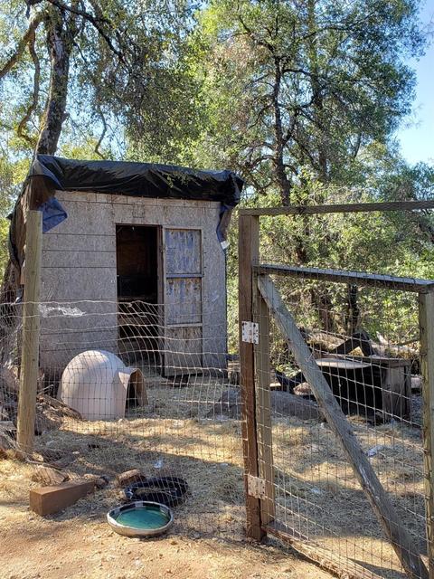4030 Boulder Point Ln, Placerville, CA 95667 photo 53