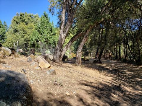4030 Boulder Point Ln, Placerville, CA 95667 photo 51