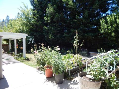 2802 Pennsylvania Ct, Placerville, CA 95667 photo 22
