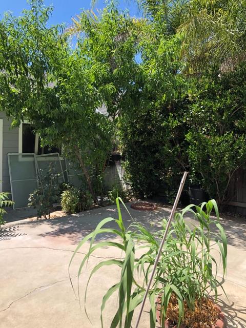 421 Benjamin Pl, Manteca, CA 95337 photo 5