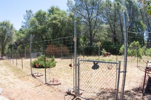 10180 State Highway 193, Placerville, CA 95667 photo 34