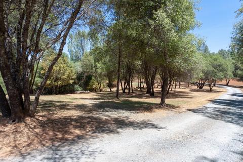 10180 State Highway 193, Placerville, CA 95667 photo 40