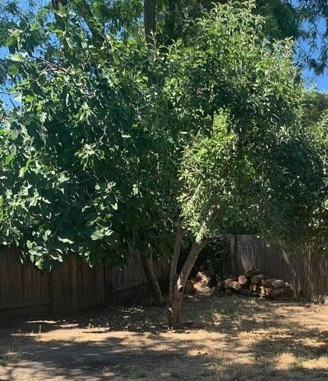630 Villanova, Davis, CA 95616 photo 11