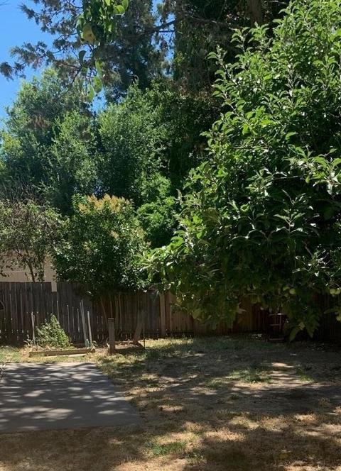 630 Villanova, Davis, CA 95616 photo 10