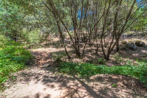 2651 Bald Mountain Rd, West Point, CA 95255 photo 34