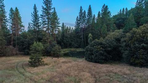 2651 Bald Mountain Rd, West Point, CA 95255 photo 38