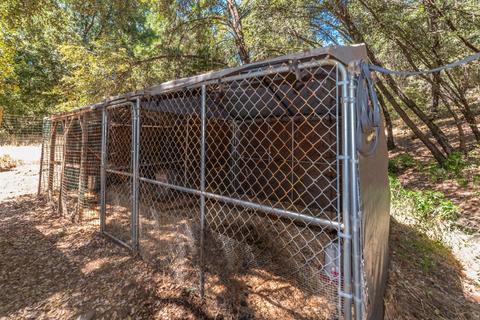 2651 Bald Mountain Rd, West Point, CA 95255 photo 32
