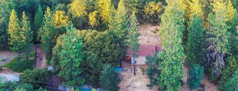 2651 Bald Mountain Rd, West Point, CA 95255 photo 36
