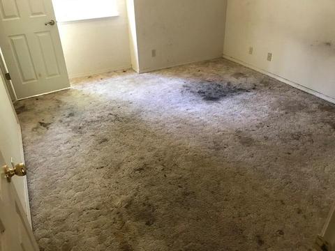 24110 Awahanee, Sonora, CA 95370 photo 6