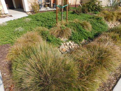 2145 Splendor Way, Modesto, CA 95357 photo 2