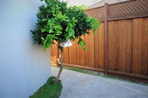 1105 Mandarin Ct, Modesto, CA 95350 photo 15