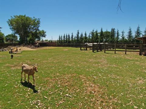 5436 Roeding Rd, Hughson, CA 95326 photo 40