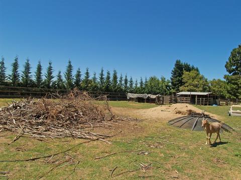 5436 Roeding Rd, Hughson, CA 95326 photo 38