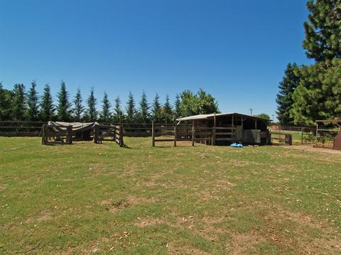 5436 Roeding Rd, Hughson, CA 95326 photo 41