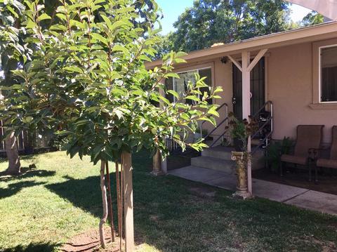 322 Thrasher Ave, Modesto, CA 95354 photo 4