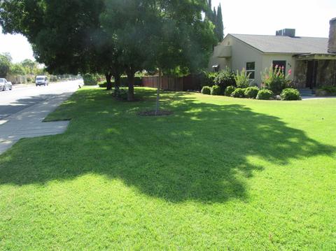618 Laurel Ave, Gustine, CA 95322 photo 8