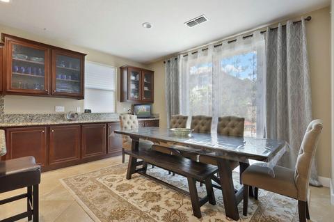 313 Blue Sky, Lathrop, CA 95330 photo 16