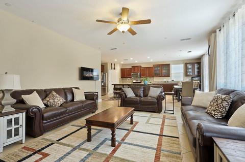 313 Blue Sky, Lathrop, CA 95330 photo 9