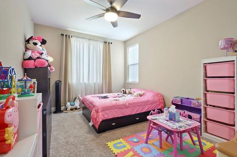 313 Blue Sky, Lathrop, CA 95330 photo 29
