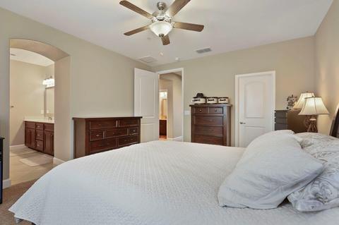 313 Blue Sky, Lathrop, CA 95330 photo 19