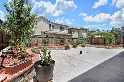 313 Blue Sky, Lathrop, CA 95330 photo 30