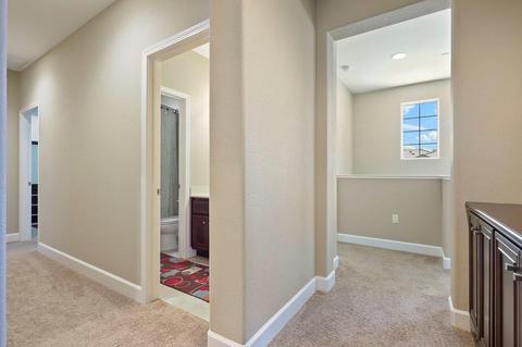 313 Blue Sky, Lathrop, CA 95330 photo 23