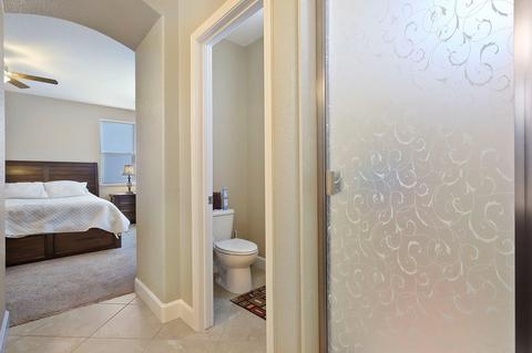 313 Blue Sky, Lathrop, CA 95330 photo 21