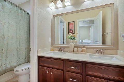 313 Blue Sky, Lathrop, CA 95330 photo 27