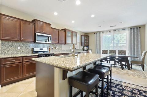 313 Blue Sky, Lathrop, CA 95330 photo 15