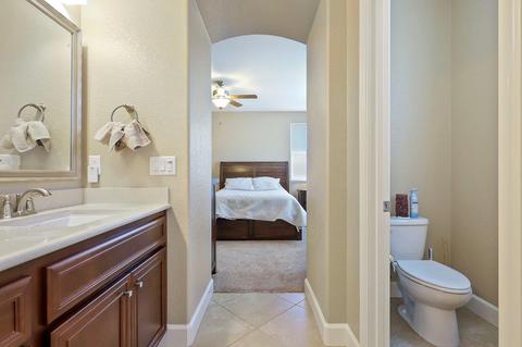 313 Blue Sky, Lathrop, CA 95330 photo 22
