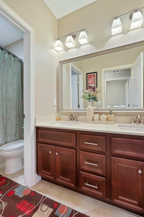 313 Blue Sky, Lathrop, CA 95330 photo 26