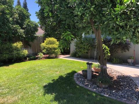 1086 Suess, Manteca, CA 95337 photo 16