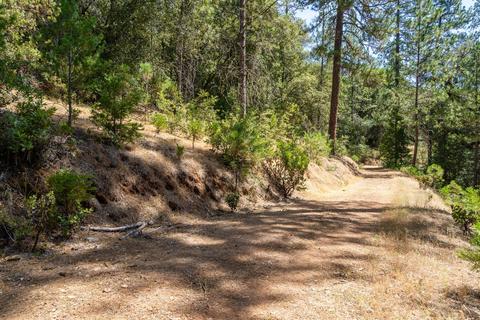 19749 E Clinton Rd, Jackson, CA 95642 photo 31