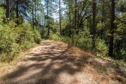 19749 E Clinton Rd, Jackson, CA 95642 photo 28