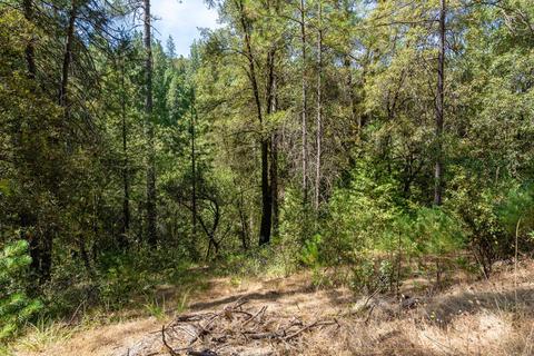 19749 E Clinton Rd, Jackson, CA 95642 photo 29