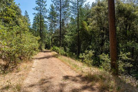 19749 E Clinton Rd, Jackson, CA 95642 photo 30