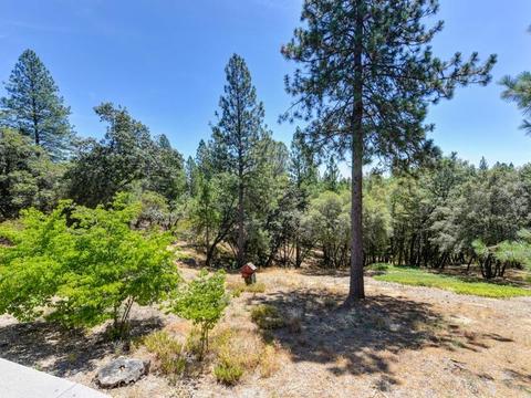 17080 Mountain View Dr, Applegate, CA 95703 photo 33