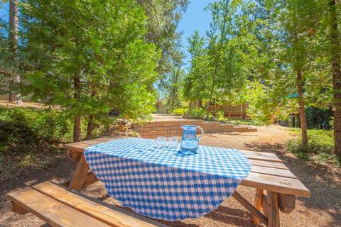 25644 Overland Dr, Volcano, CA 95689 photo 49