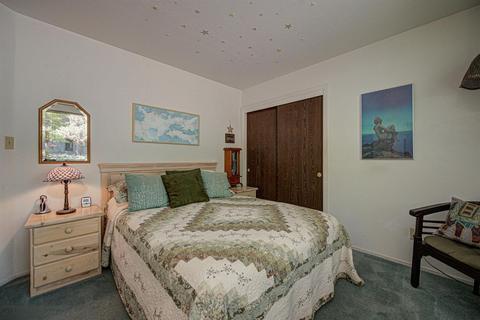 25644 Overland Dr, Volcano, CA 95689 photo 24